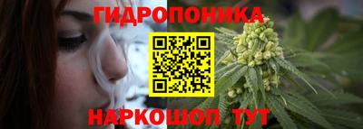 ПСИЛОЦИБИНОВЫЕ ГРИБЫ Кингисепп