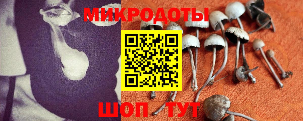 Галлюциногенные грибы Magic Shrooms Черкесск